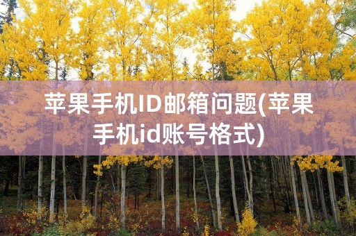 苹果手机ID邮箱问题(苹果手机id账号格式)