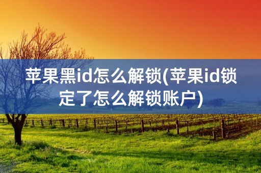 苹果黑id怎么解锁(苹果id锁定了怎么解锁账户)