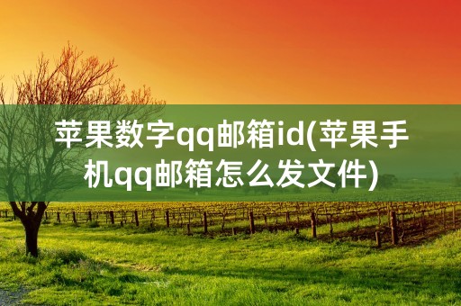 苹果数字qq邮箱id(苹果手机qq邮箱怎么发文件)