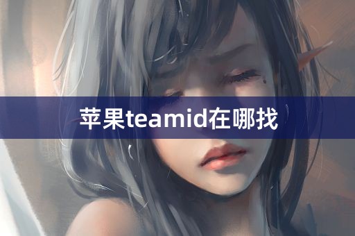 苹果teamid在哪找