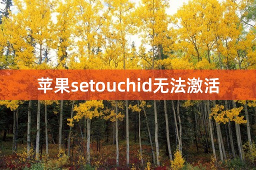 苹果setouchid无法激活