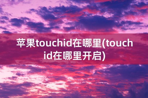 苹果touchid在哪里(touchid在哪里开启)