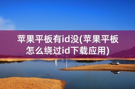 苹果平板有id没(苹果平板怎么绕过id下载应用)