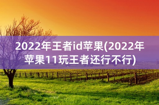 2022年王者id苹果(2022年苹果11玩王者还行不行)