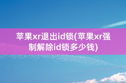 苹果xr退出id锁(苹果xr强制解除id锁多少钱)