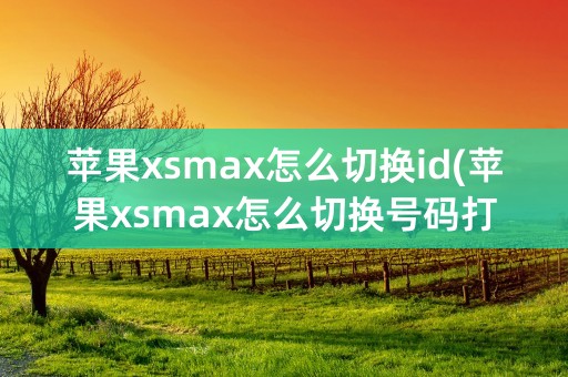 苹果xsmax怎么切换id(苹果xsmax怎么切换号码打电话)