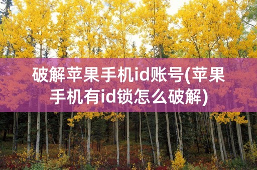 破解苹果手机id账号(苹果手机有id锁怎么破解)