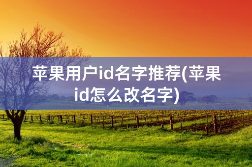 苹果用户id名字推荐(苹果id怎么改名字)