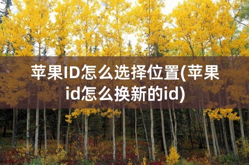 苹果ID怎么选择位置(苹果id怎么换新的id)