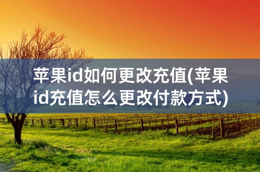 苹果id如何更改充值(苹果id充值怎么更改付款方式)