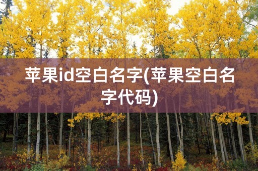 苹果id空白名字(苹果空白名字代码)