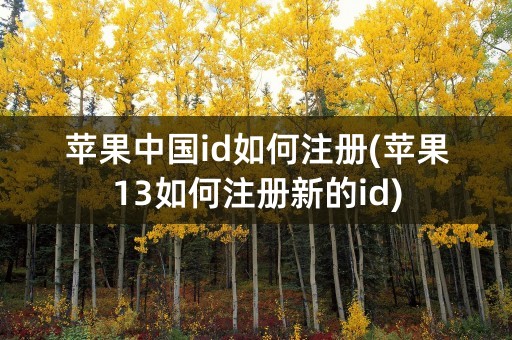 苹果中国id如何注册(苹果13如何注册新的id)