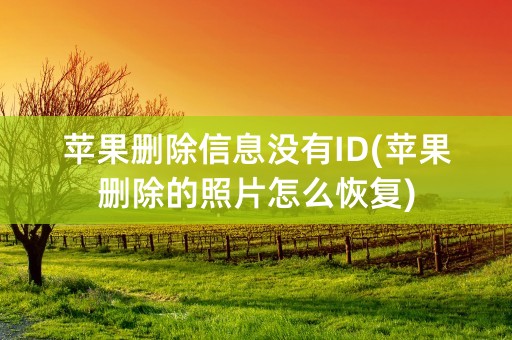 苹果删除信息没有ID(苹果删除的照片怎么恢复)