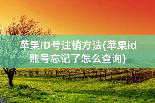 苹果ID号注销方法(苹果id账号忘记了怎么查询)