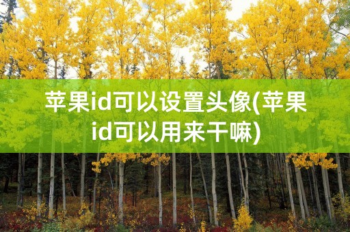 苹果id可以设置头像(苹果id可以用来干嘛)