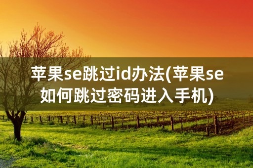 苹果se跳过id办法(苹果se如何跳过密码进入手机)