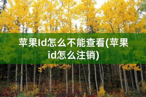 苹果Id怎么不能查看(苹果id怎么注销)