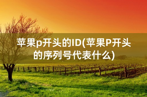 苹果p开头的ID(苹果P开头的序列号代表什么)