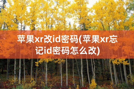 苹果xr改id密码(苹果xr忘记id密码怎么改)