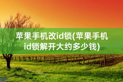 苹果手机改id锁(苹果手机id锁解开大约多少钱)