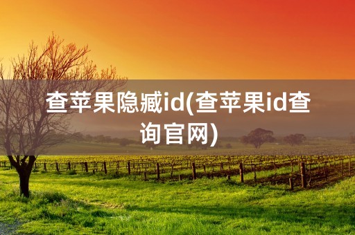 查苹果隐臧id(查苹果id查询官网)