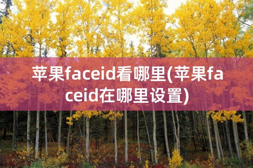 苹果faceid看哪里(苹果faceid在哪里设置)