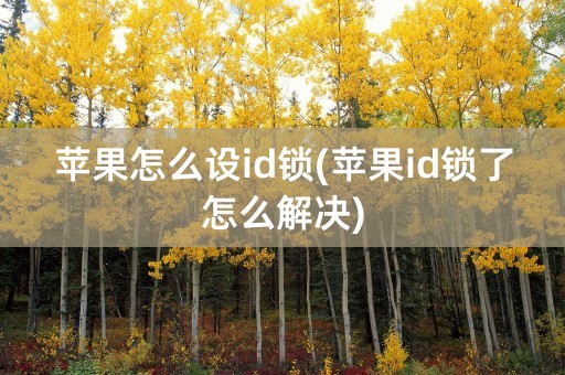 苹果怎么设id锁(苹果id锁了怎么解决)