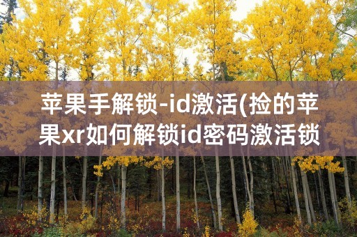 苹果手解锁-id激活(捡的苹果xr如何解锁id密码激活锁)