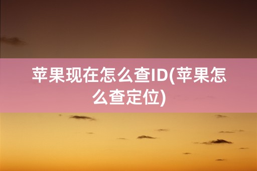 苹果现在怎么查ID(苹果怎么查定位)