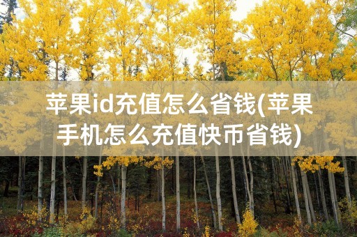 苹果id充值怎么省钱(苹果手机怎么充值快币省钱)