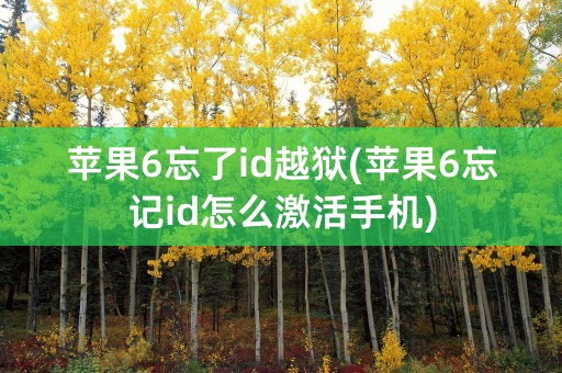 苹果6忘了id越狱(苹果6忘记id怎么激活手机)