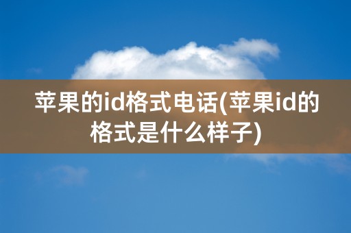 苹果的id格式电话(苹果id的格式是什么样子)