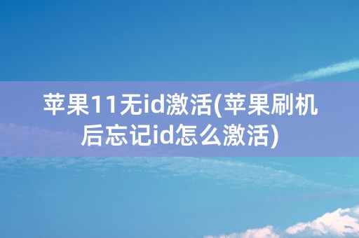 苹果11无id激活(苹果刷机后忘记id怎么激活)