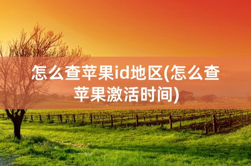 怎么查苹果id地区(怎么查苹果激活时间)