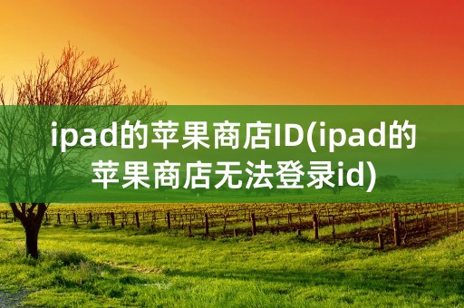 ipad的苹果商店ID(ipad的苹果商店无法登录id)