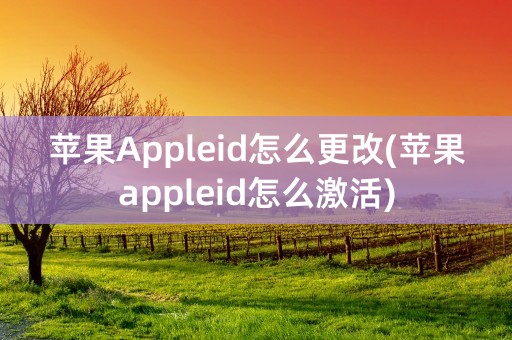 苹果Appleid怎么更改(苹果appleid怎么激活)