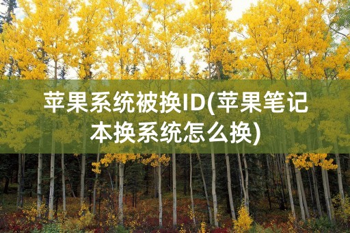 苹果系统被换ID(苹果笔记本换系统怎么换)