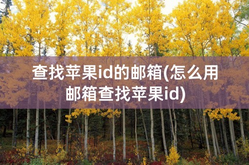 查找苹果id的邮箱(怎么用邮箱查找苹果id)