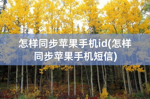 怎样同步苹果手机id(怎样同步苹果手机短信)