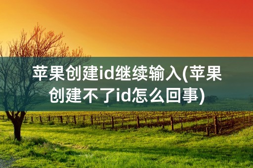 苹果创建id继续输入(苹果创建不了id怎么回事)