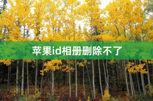 苹果id相册删除不了