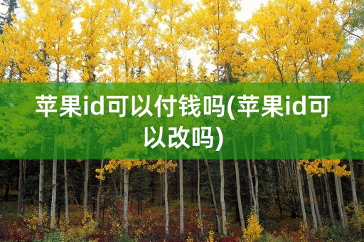 苹果id可以付钱吗(苹果id可以改吗)