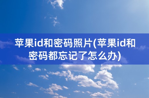 苹果id和密码照片(苹果id和密码都忘记了怎么办)