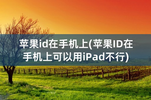 苹果id在手机上(苹果ID在手机上可以用iPad不行)