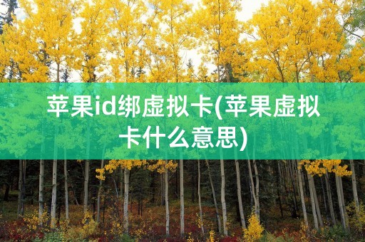 苹果id绑虚拟卡(苹果虚拟卡什么意思)