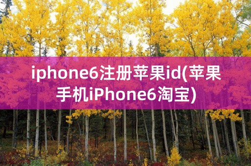 iphone6注册苹果id(苹果手机iPhone6淘宝)