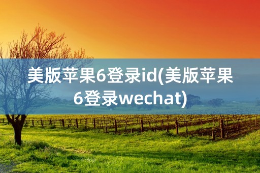 美版苹果6登录id(美版苹果6登录wechat)