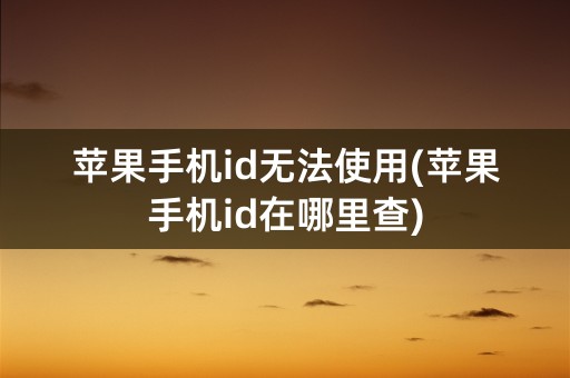 苹果手机id无法使用(苹果手机id在哪里查)