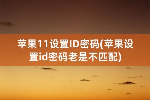 苹果11设置ID密码(苹果设置id密码老是不匹配)