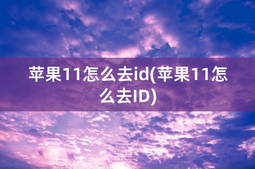 苹果11怎么去id(苹果11怎么去ID)